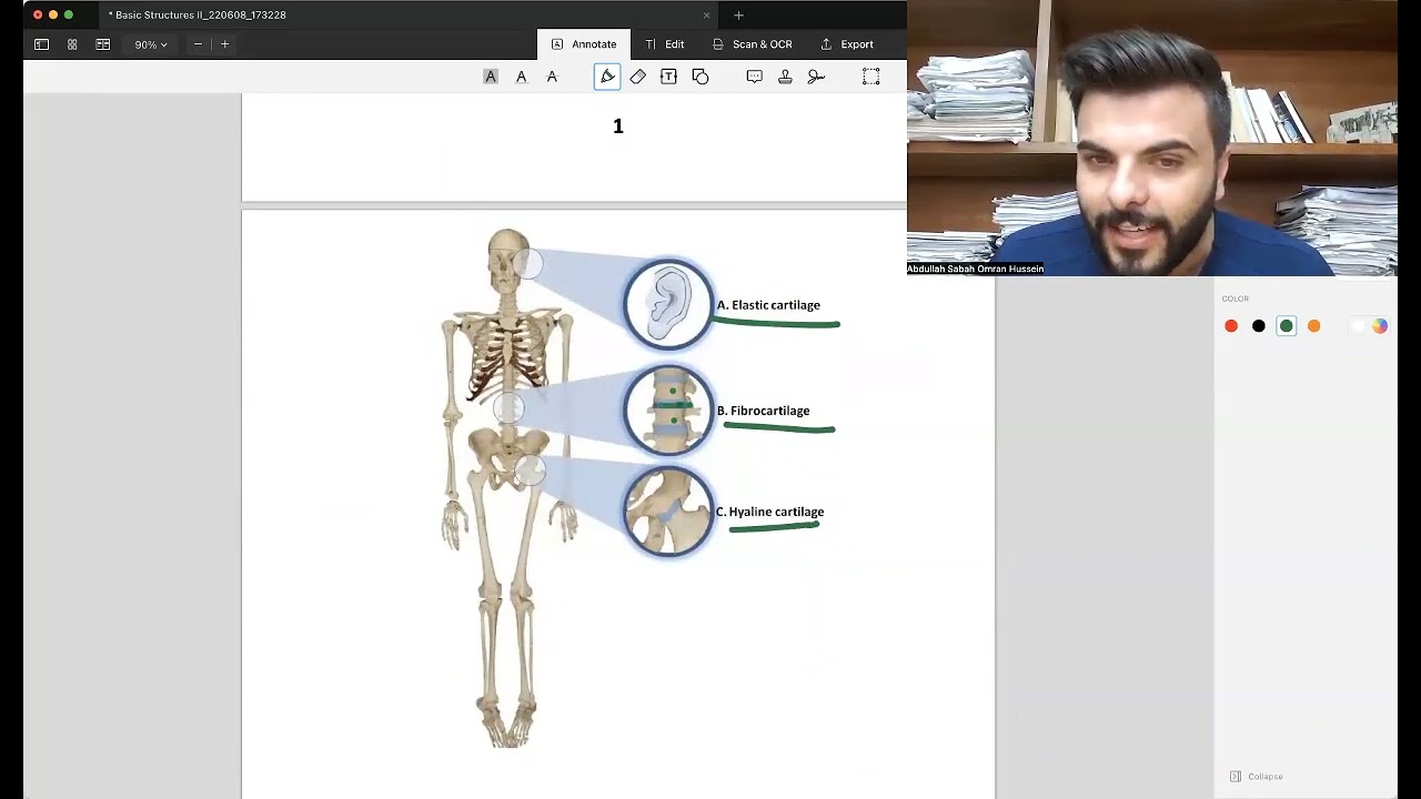 Lect:3 p-1 (cartilage, blood vessels, lymphatic system) طب الاسنان