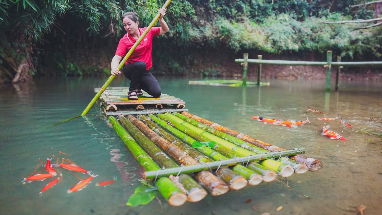 Renovate Wild Water Puddles And Release Fish To Raise - Live With Nature | Đào Daily Farm