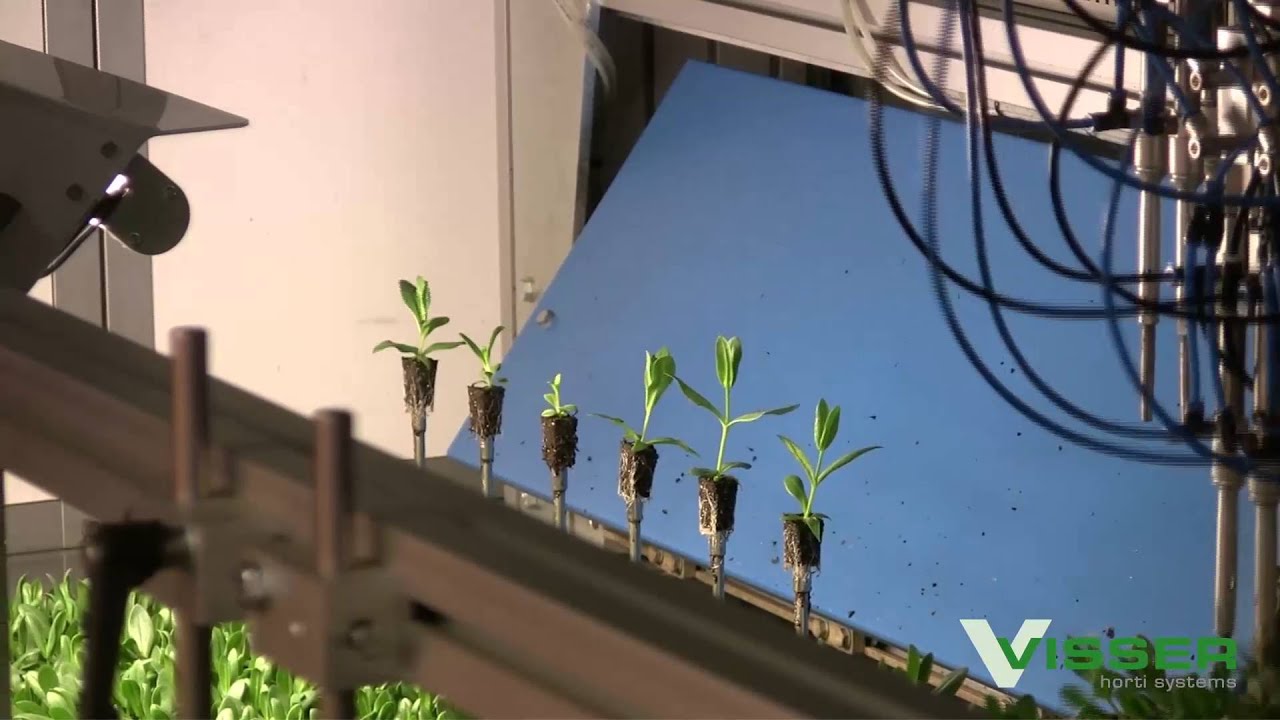 Visser Horti Systems - Select O Mat Basic - van Egmond