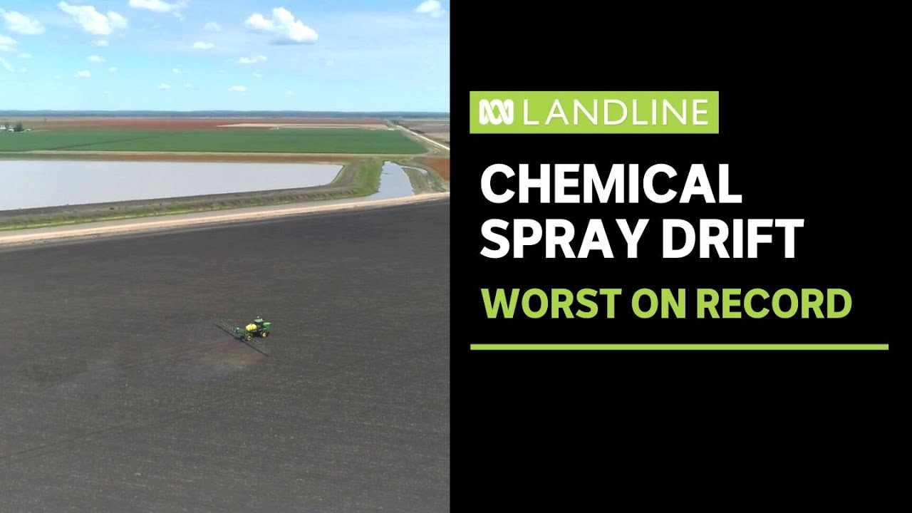 Drift from chemical spray causes millions in damage to cotton crops | Landline