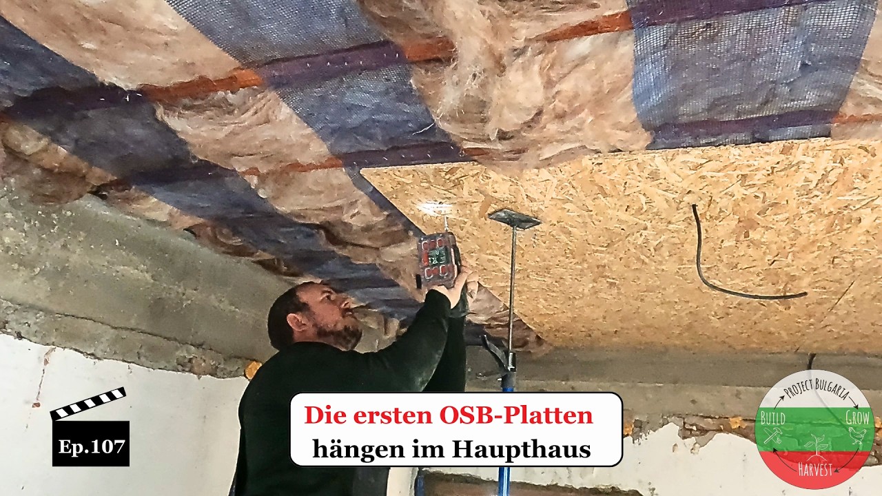 Die ersten OSB Platten hängen im Haupthaus - Ep.107 📺