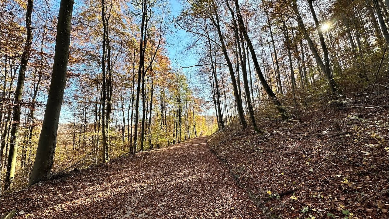 MTB -Tour zur Wanne Onderhos und Trails