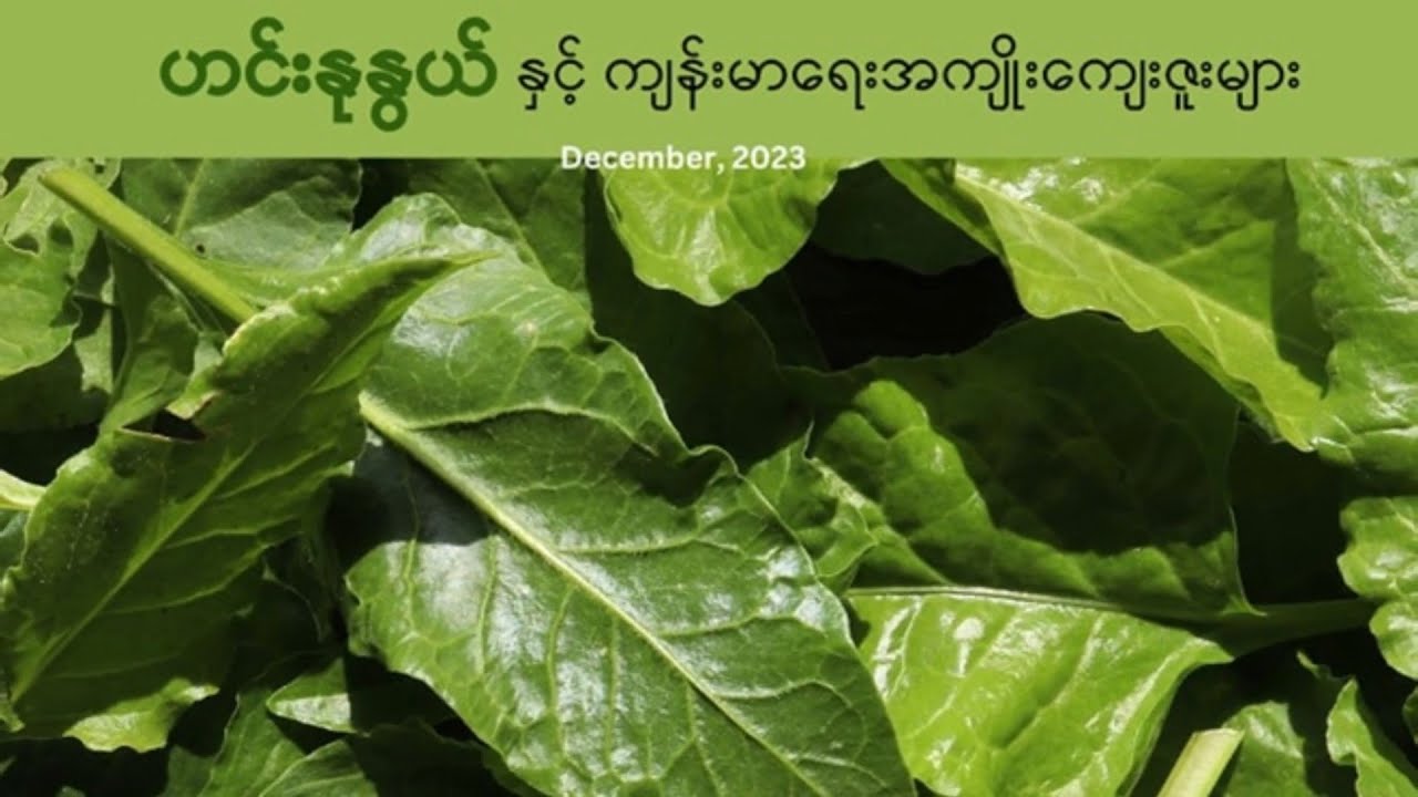 ဟင်းနုနွယ်နှင့် ကျန်းမာရေးအကျိုးကျေးဇူးများ