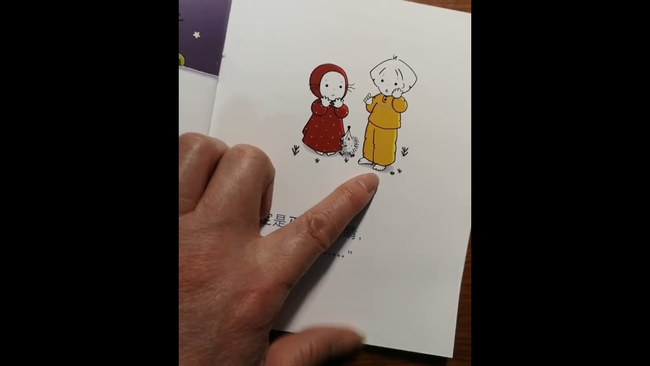 Chinesische Kindergeschichten/ Chinese Children Story/ 故事书阅读