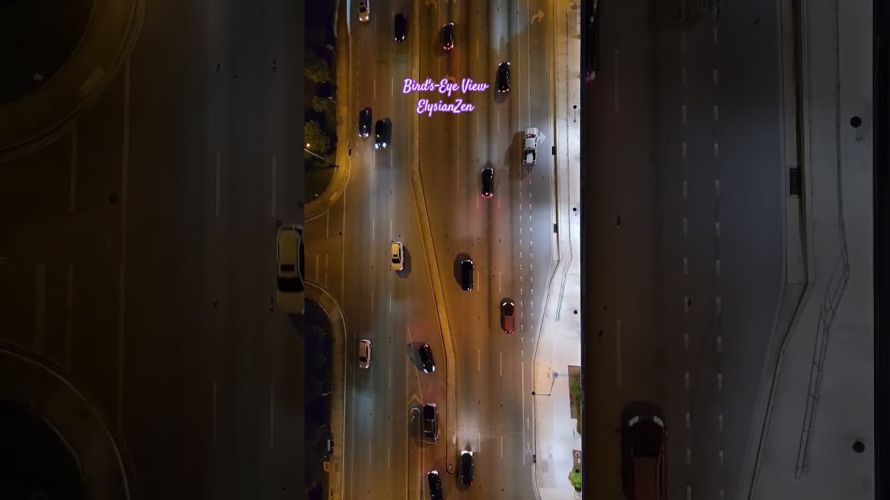 Bird's-Eye View #elysianzen  #visualstillness  #miamidailylife  #peacefulscenes  #nonarration