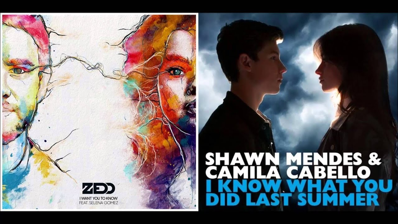 Zedd Vs. Shawn Mendes - I Want You To Know What You Did Last Summer (Mashup Concept)