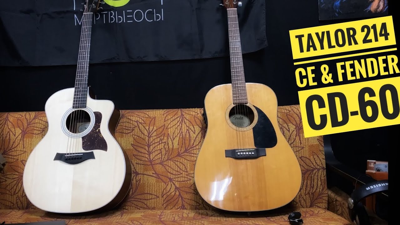 ⚡️Краткий обзор гитары Taylor 214CE. Сравнение гитар Taylor 214CE и Fender CD-60.⚡️