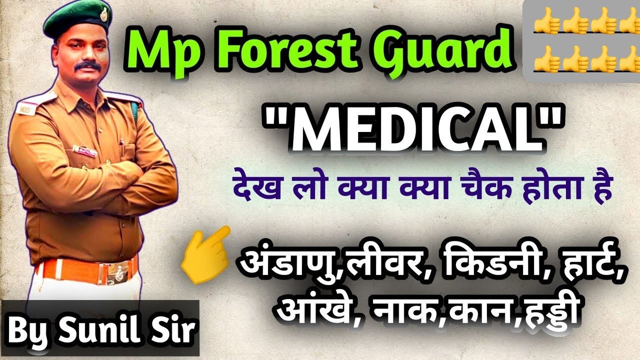 Forest Guard 