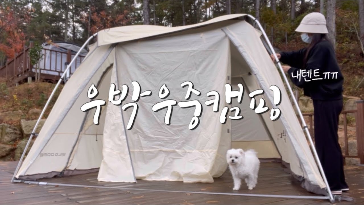 ⛈신상텐트 개시했는데 비에 우박까지 내리네 | 제드코리아 와일드돔ex | 솔로캠핑.초대캠핑| 우중캠핑 | 애견동반캠핑 | 영암 국민여가캠핑장