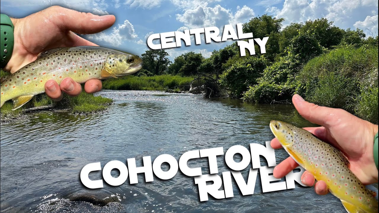 Cohocton River Madness! (Hopper dropper fishing for wild trout)