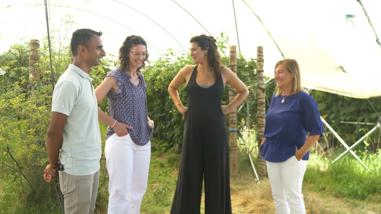 The Summer Berry Company: qualidade com natureza na produção de framboesas