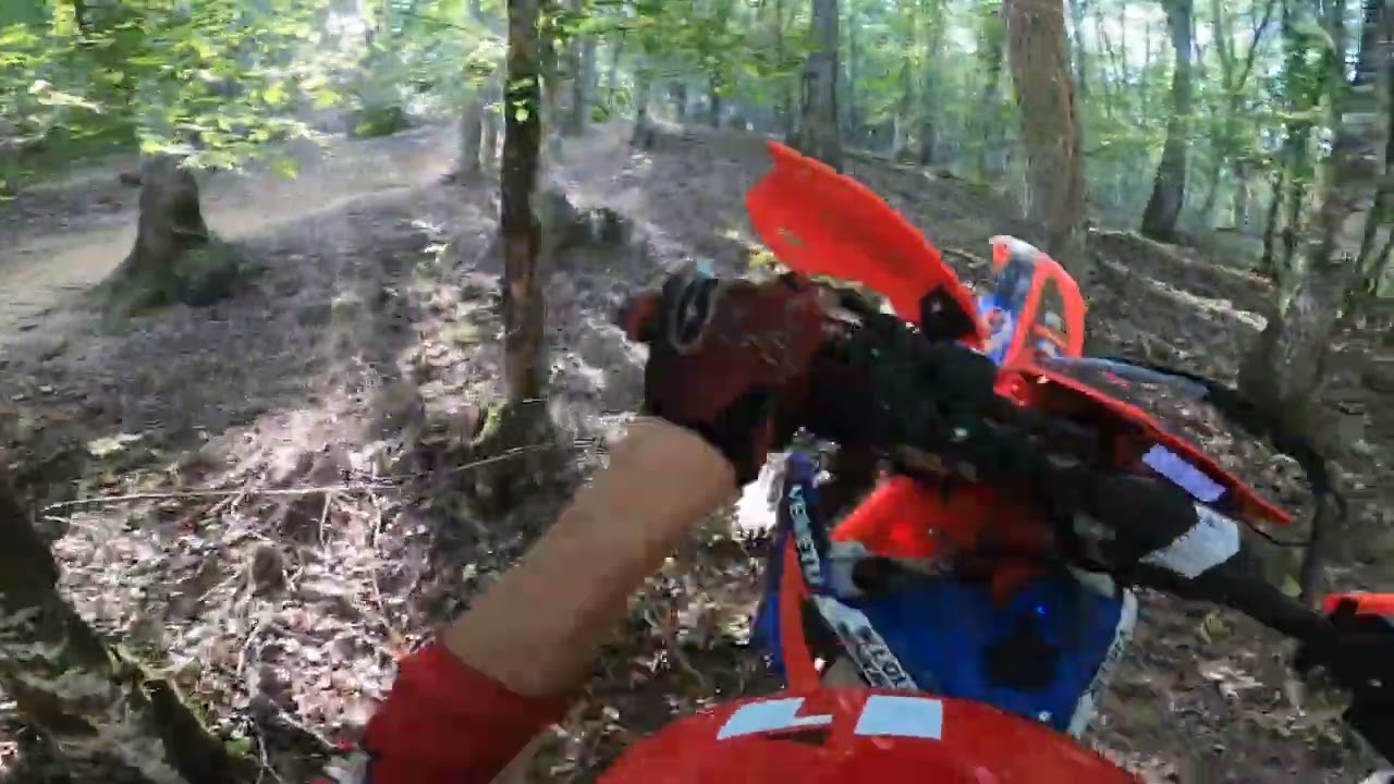 VIAMAGGIO 2023 ELIAS#129 Training