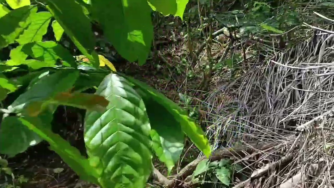 Mountain Hiking Documentary | Climbing Through Wild Nature