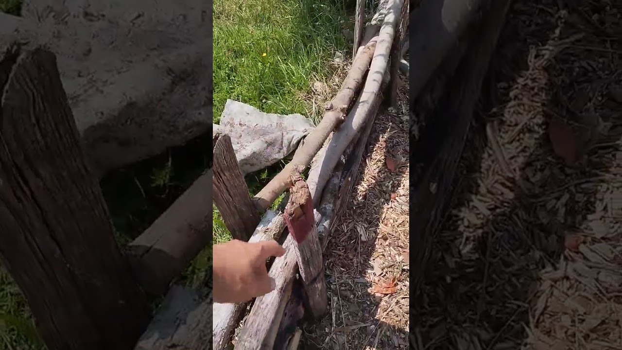 Première visite des buttes en syntropie/permaculture