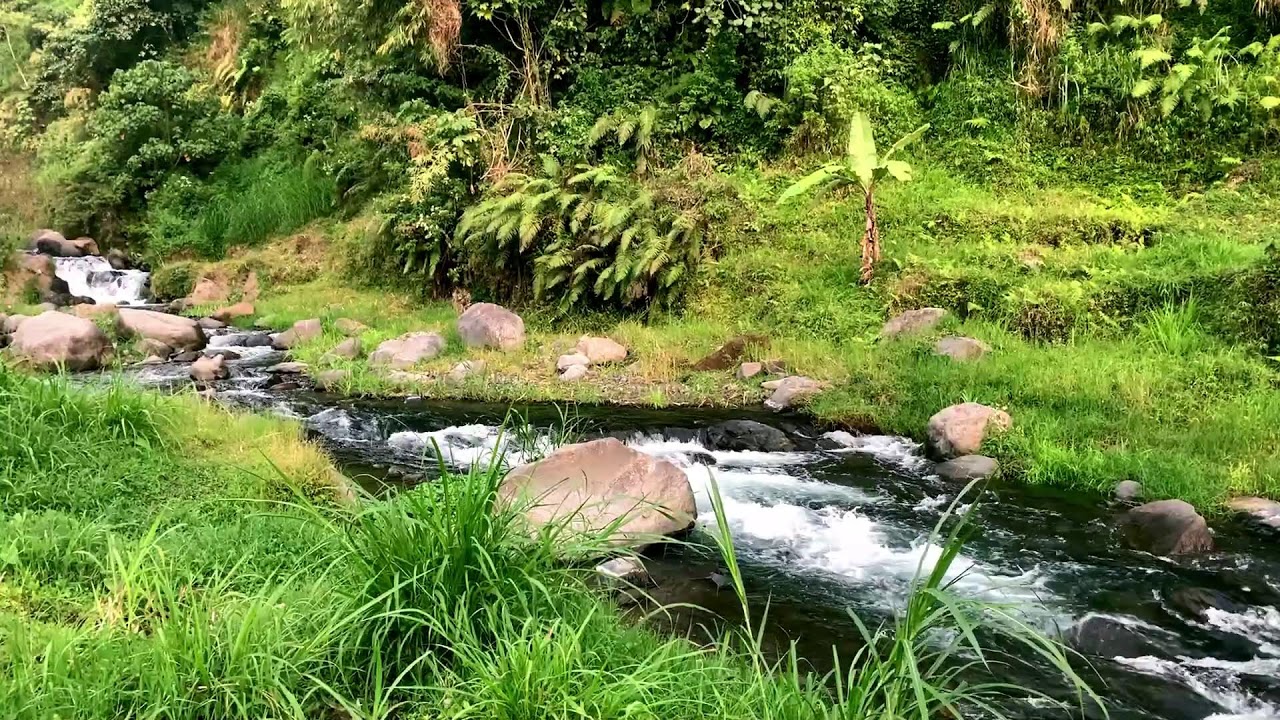 Natural Forest River Waterfall Vibes | For Study, Soothing the Soul & Deep Relaxation