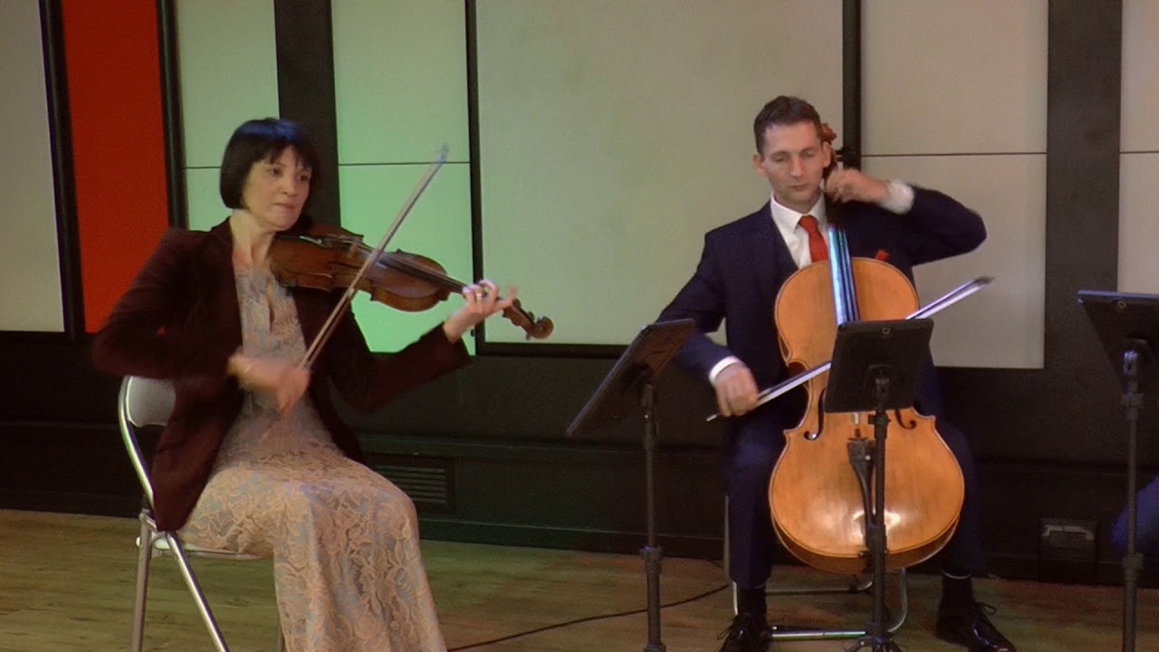 Life on Mars, David Bowie - Capital String Quartet