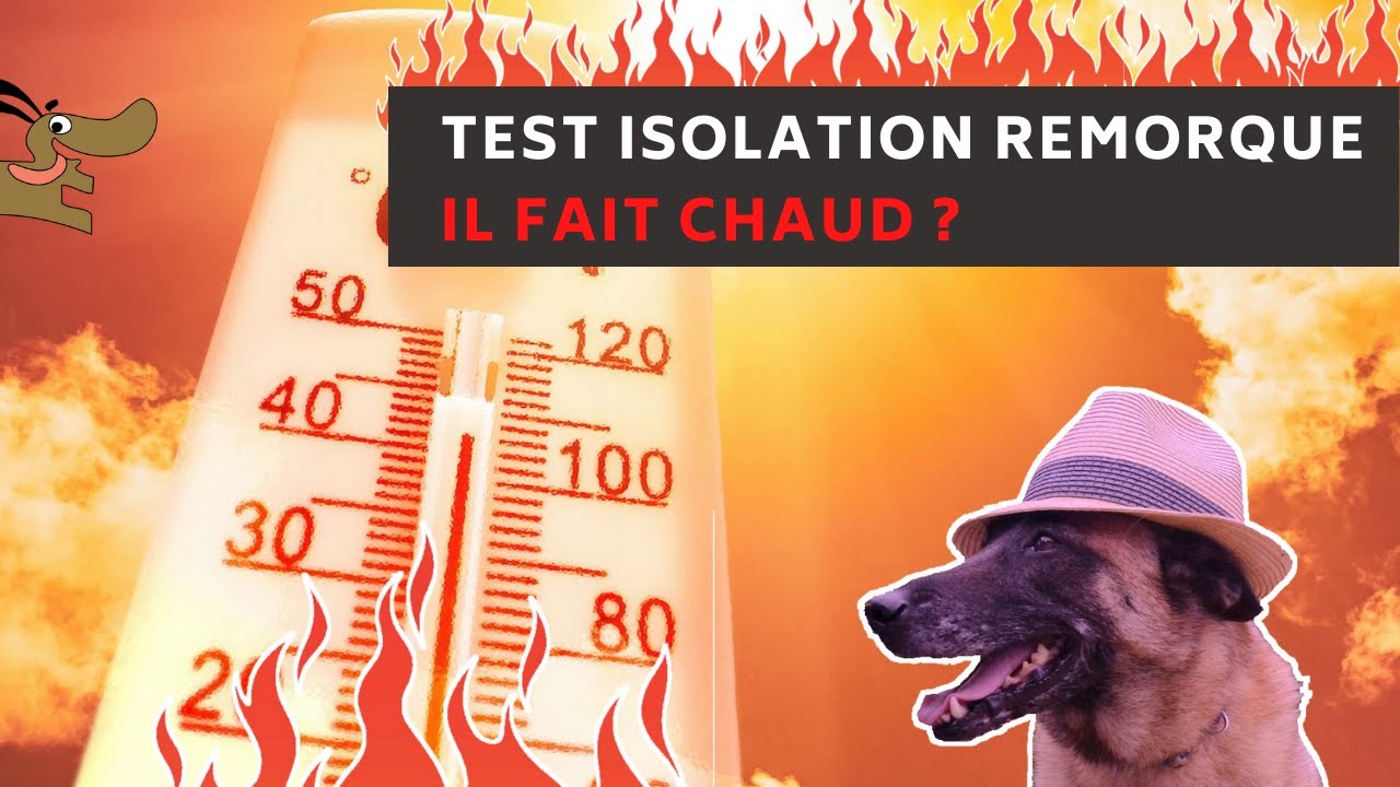 Test de l'isolation des remorques pour chiens
