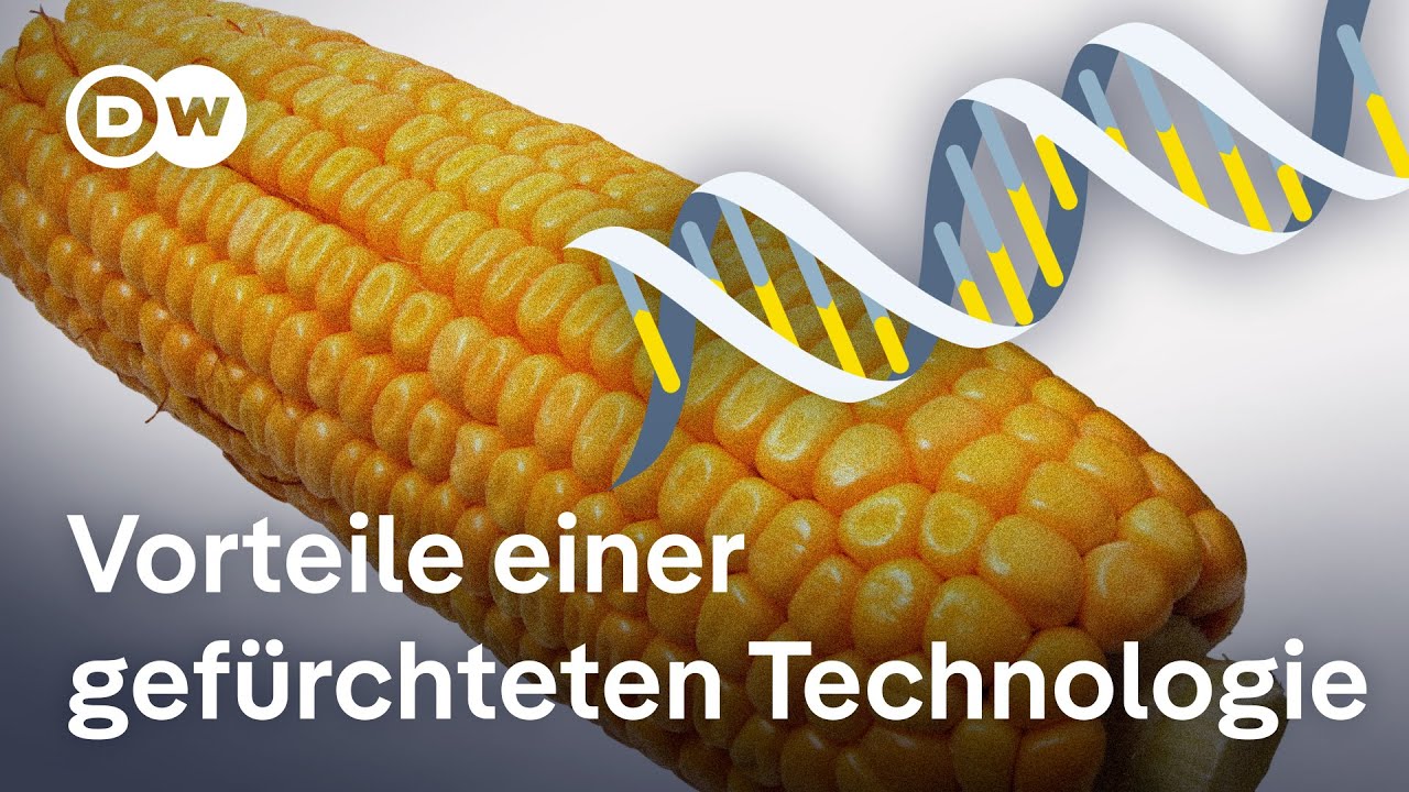 Warum hat gr&uuml;ne Gentechnik so einen schlechten Ruf? | Transformation der Wirtschaft