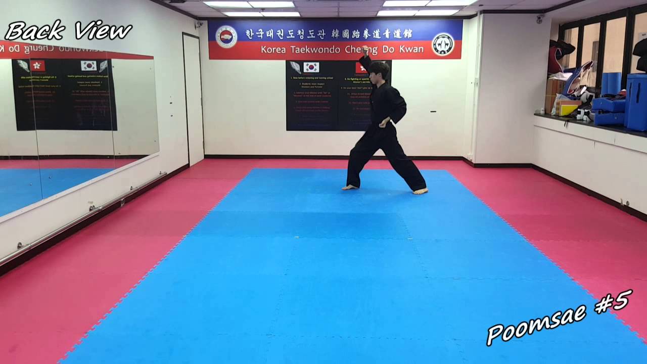 Taekwondo - Poomsae 5 (Oh Jang) Slow-motion & Mirror