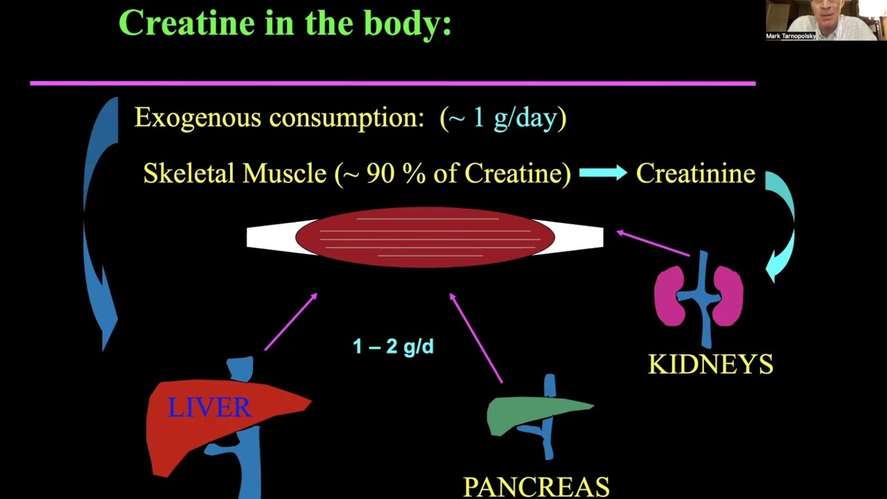 Exercise and Nutritional Interventions for Patients Suffering from Inclusion Body Myositis - Part 2
