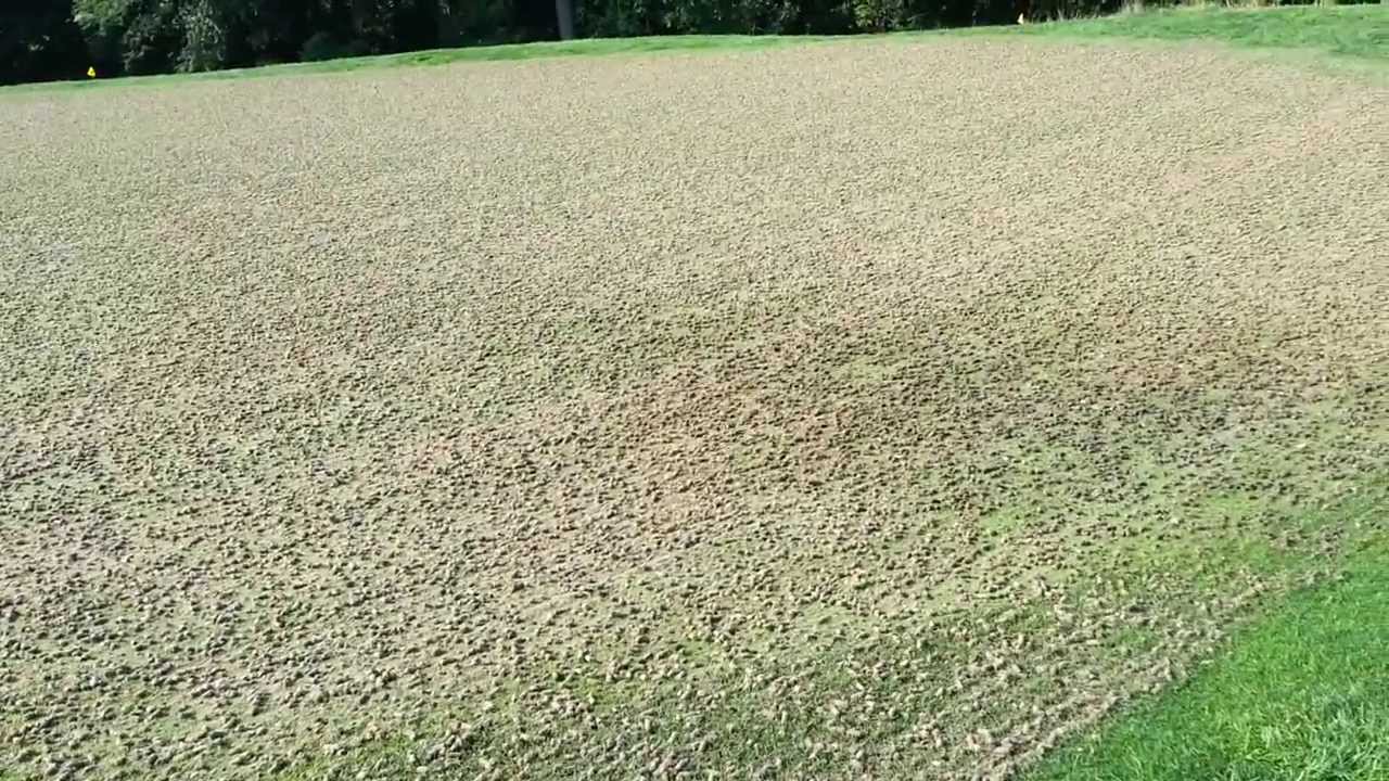 Golf Course greens aeration - discovering black layer