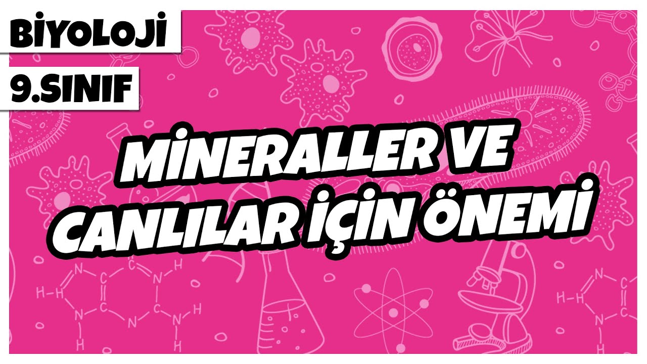 9. Sınıf Biyoloji - Mineraller ve Canlılar İçin Önemi | 2022
