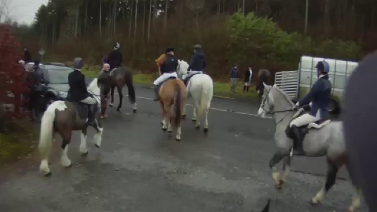 East Galway hunt, Kylebrack 30 Jan 2016
