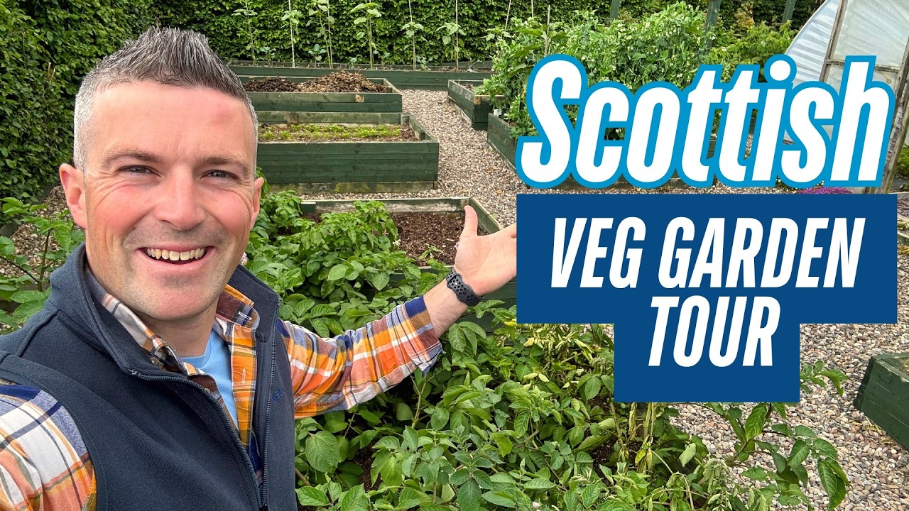 Tour My Scottish Vegetable Garden: Polytunnel, Raised Beds & More!