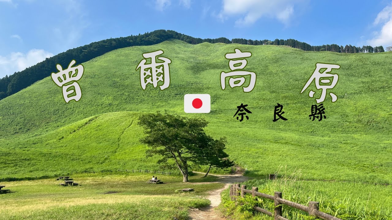 【一日vlog】 賞繡球花&曾爾高原