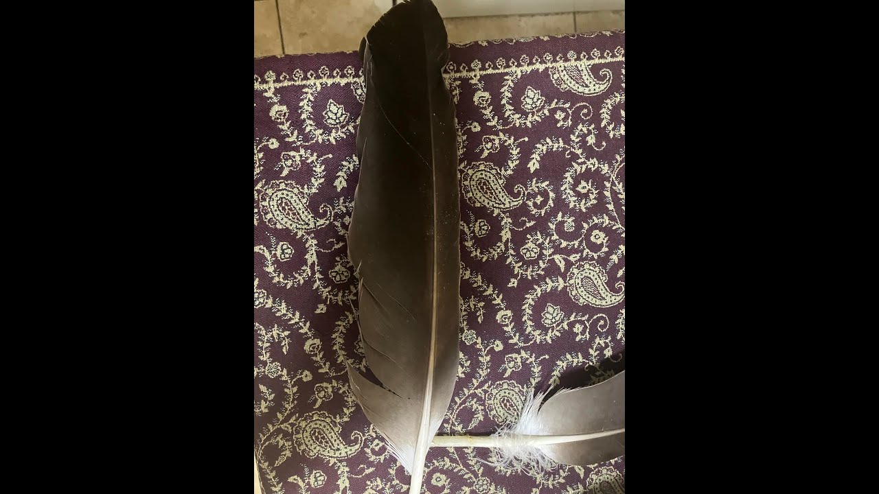 How I Clean Feathers