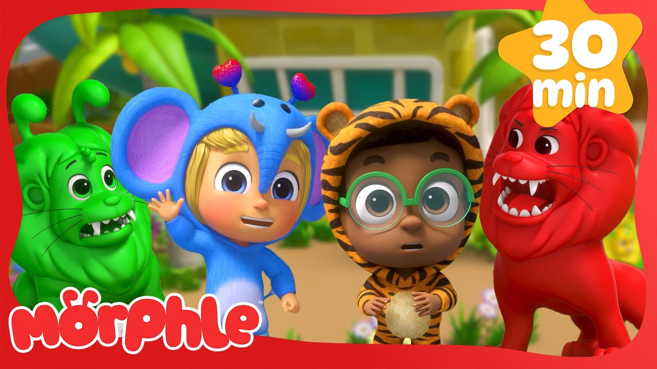 Animal Dress Up Day! 🦁 | Cute Animal Videos | Morphle Magic Pet Cartoons for Kids