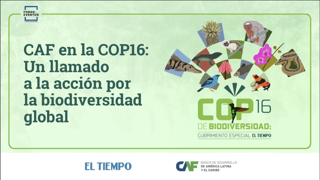 CAF en la COP16: Un llamado a la acción por la biodiversidad global