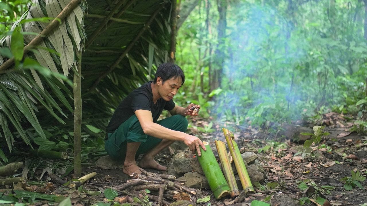 Jungle Survival:🏹🔥🪓 10 Day Survival Challenge In A Completely New Forest, Never Set Foot In Before
