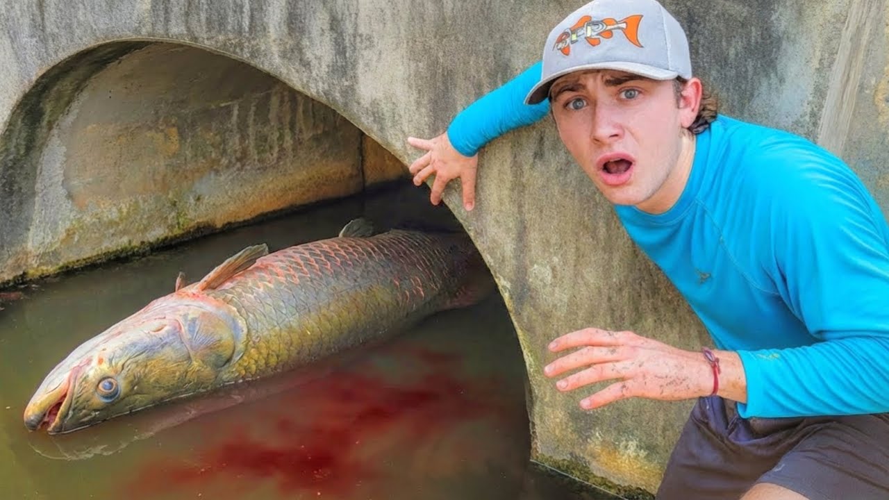 Zachránil jsem ryby z nebezpečného tajného tunelu!