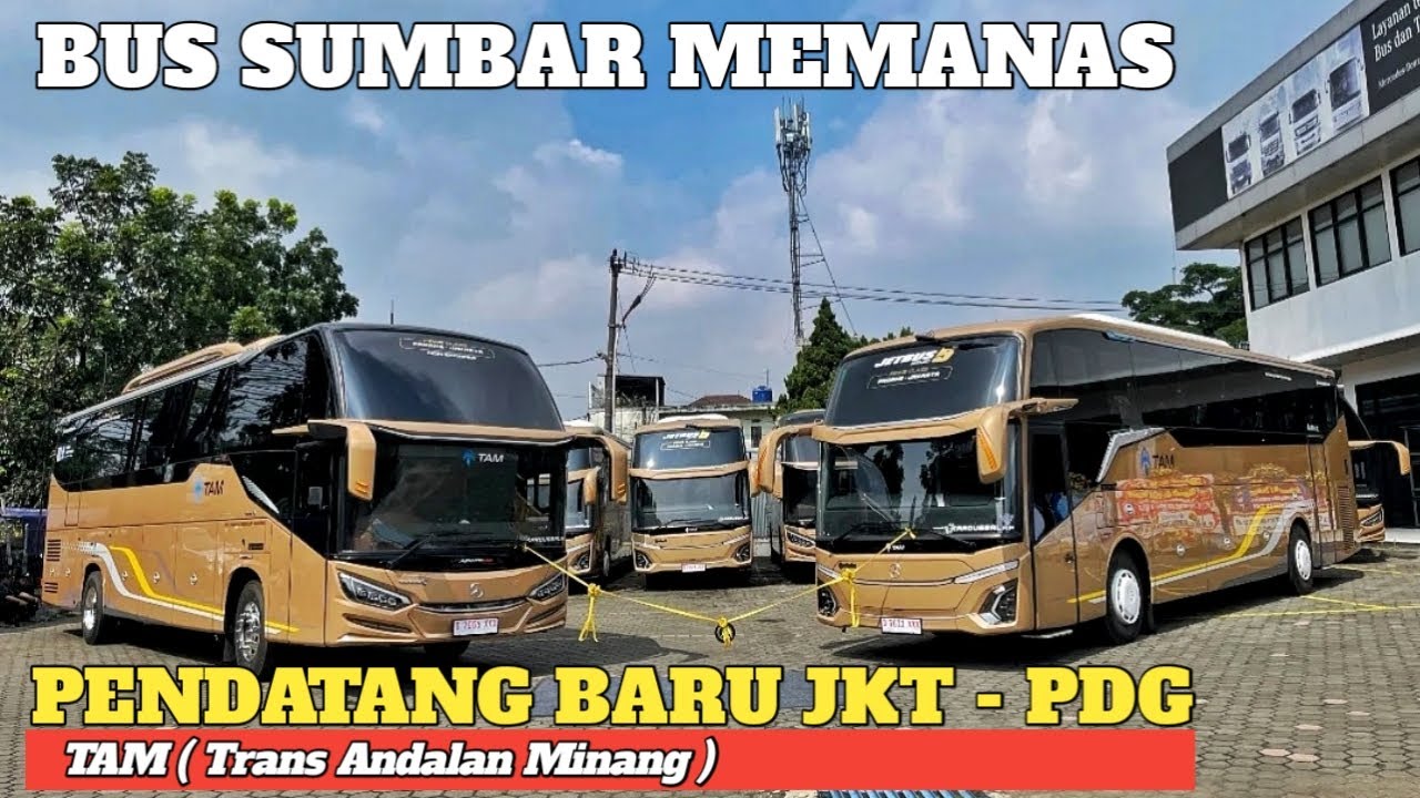 BUS SUMBAR SEMAKIN MEMANAS || HADIR BUS TAM PENDATANG BARU PADANG-JAKARTA BIKIN KETAR KETIR PO LAIN