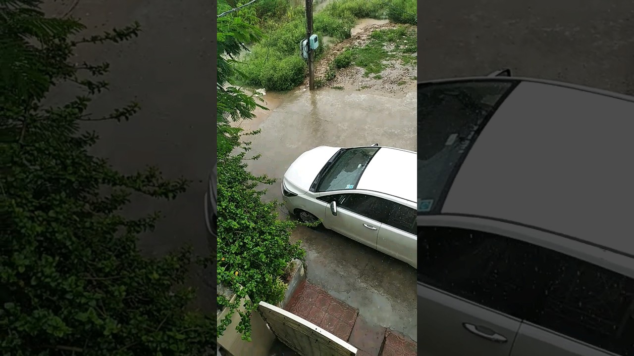 all day raining