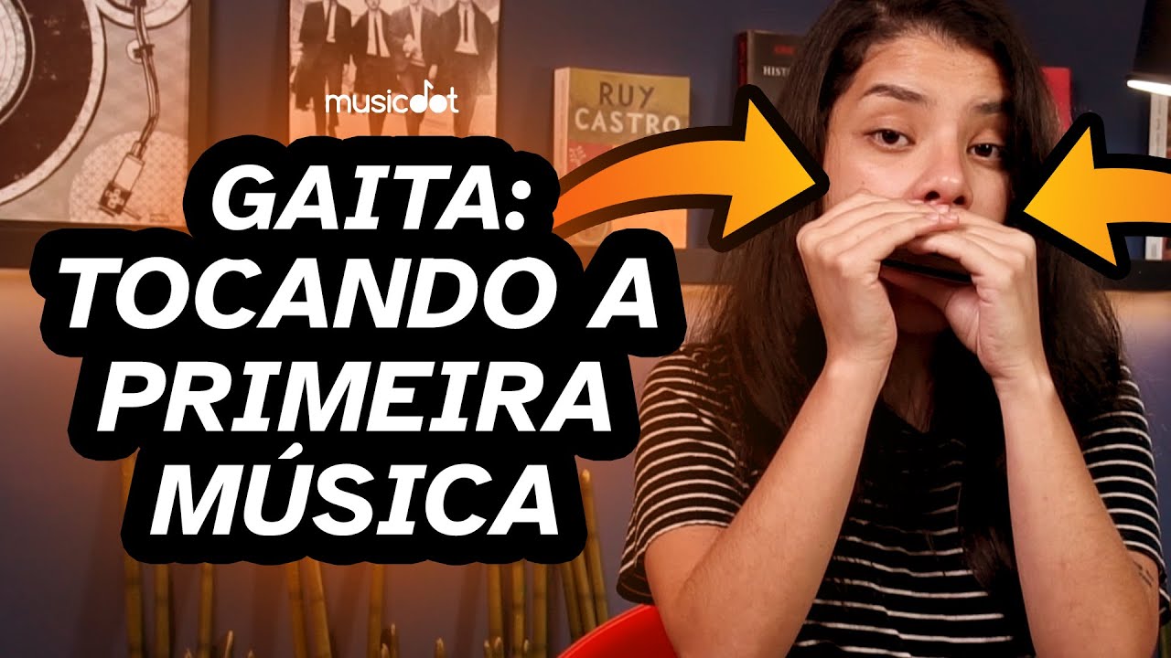 Gaita Diat&ocirc;nica : Tocando a primeira m&uacute;sica (Aula para iniciantes)