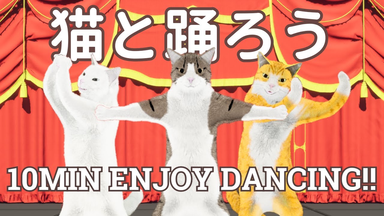猫と一緒に楽しく踊ろう！10分かんたん有酸素ダンス😸