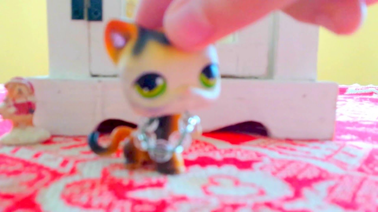 My chanel intro!  (for lps lulusvideos220)