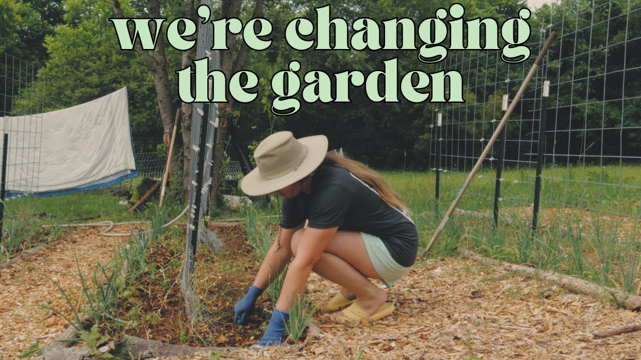 Our Plants Were Suffering | Homestead Vlog | Calico Cow Acres