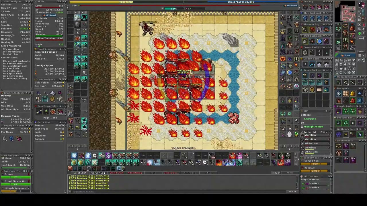 Tibia MS 500 + (558) - Werelion - 3.1kk RAW