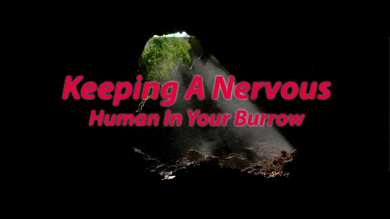 [M4A] Keeping a Nervous Human in Your Burrow [Part 2] [Monster Listener] [Reverse Yandere] [Fantasy]