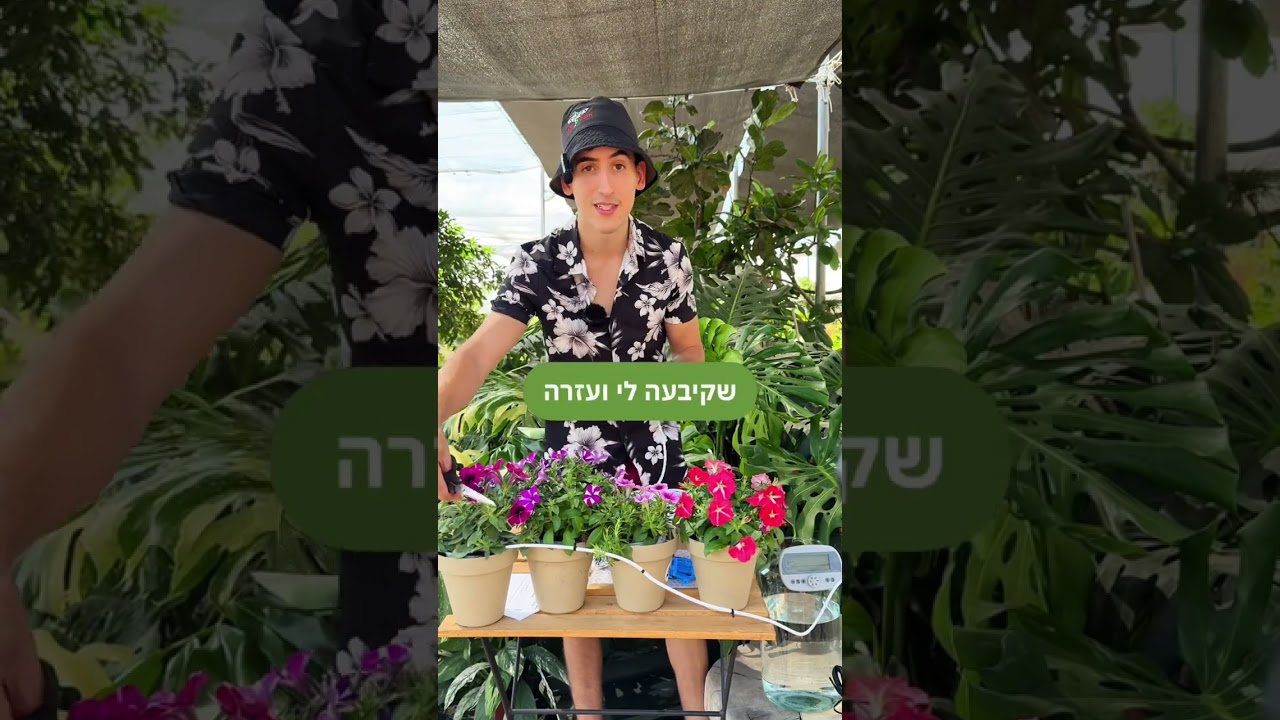 מערכת השקיה אוטומטית ביתית מבית ירוק במרפסת - התקנת המערכת