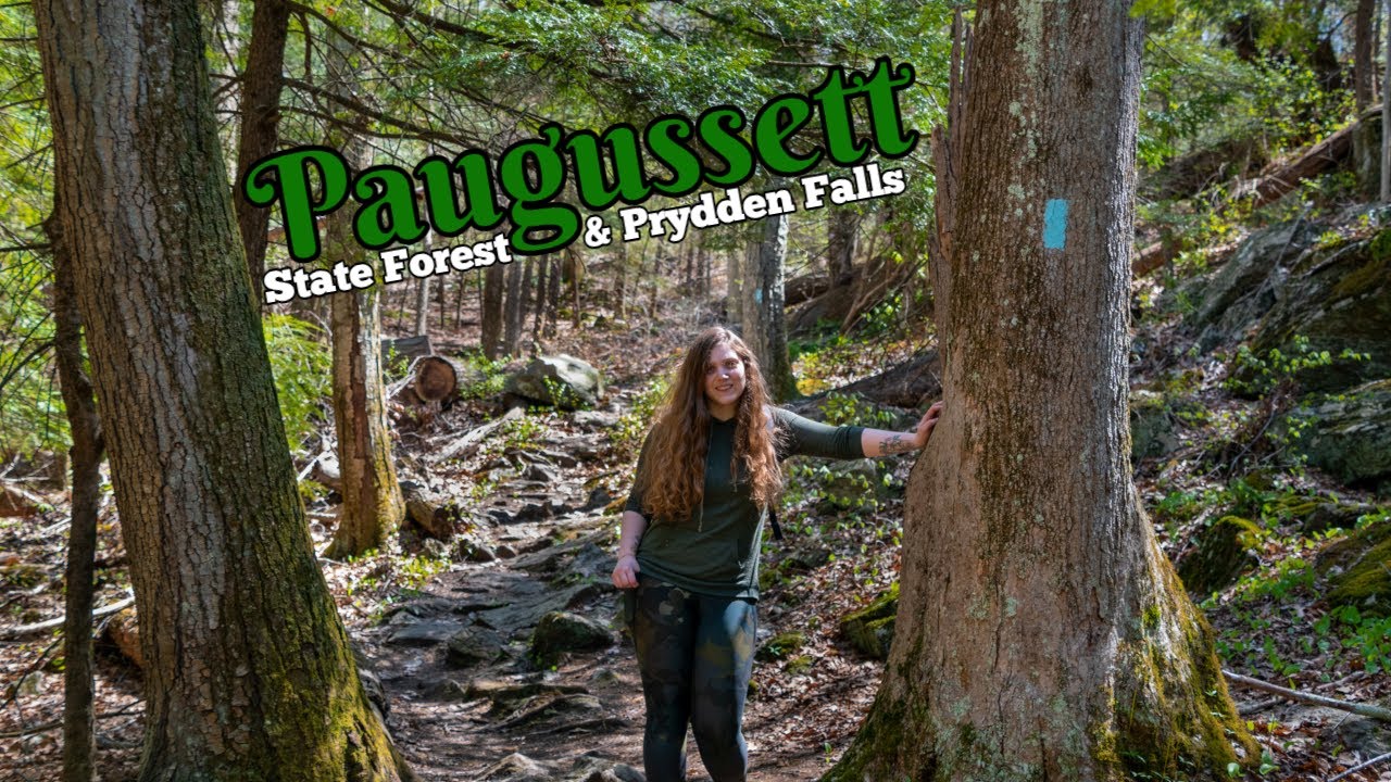 Paugussett Forest and Prydden Falls Hike | Newtown Connecticut