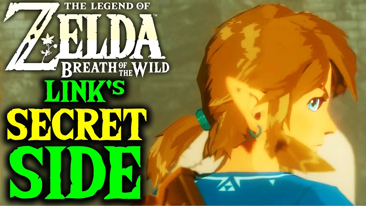 Link's Secret Diary Reveals His True Personality in Breath of the Wild