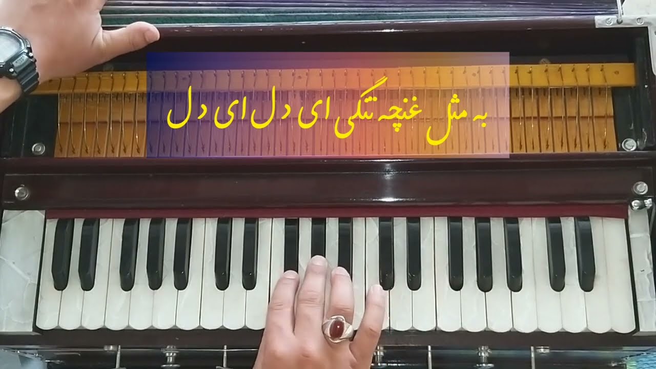 Best Afghan song Qayeq ran | به مثل غنچه تنگی ای دل ای دل | آهنگ ناب افغانی قایقران  Harmonium live