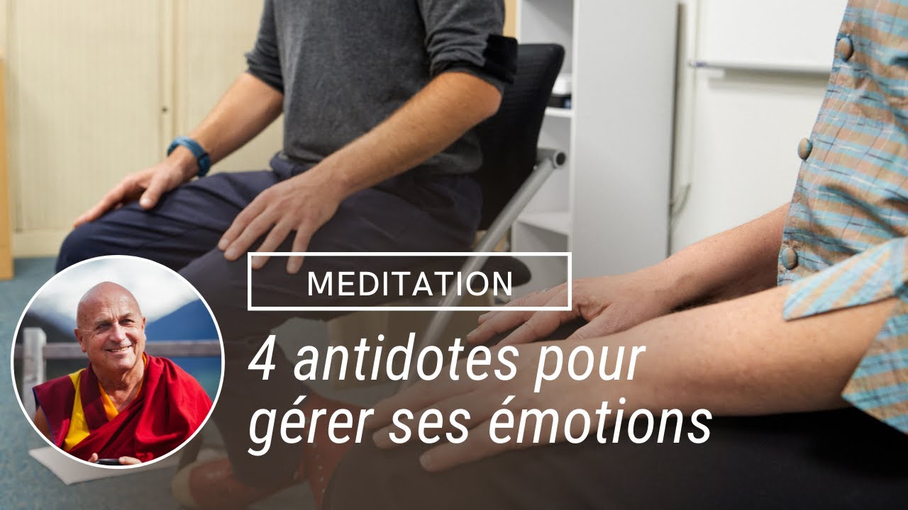 Chapitre 4 - 4 antidotes pour gérer ses émotions