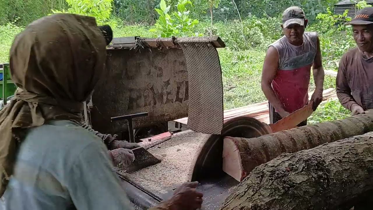Sangat Indah, Gelondongan Kayu  Digergaji Dengan Gergaji Bundar Dibuat Menjadi Bilah Kayu 