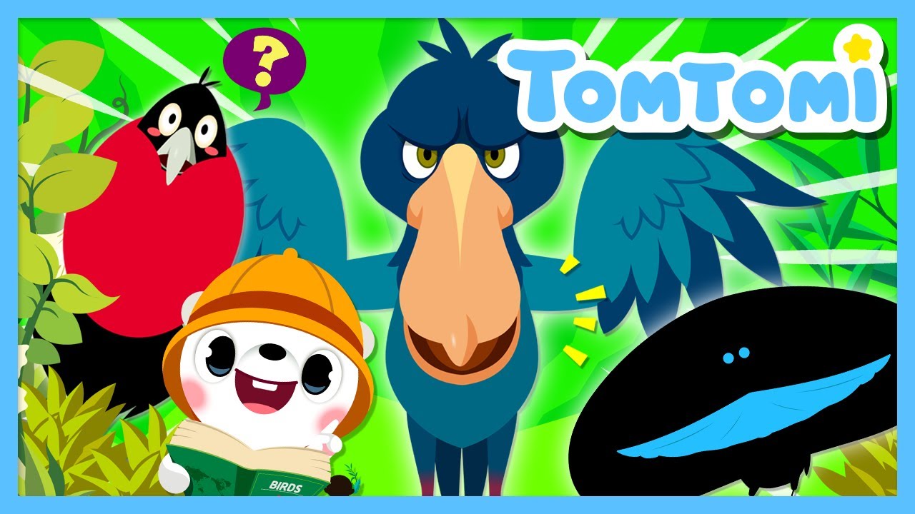 Canción de Aves Raras 🦜 | Música infantil divertida para cantar y aprender |  #TOMTOMI