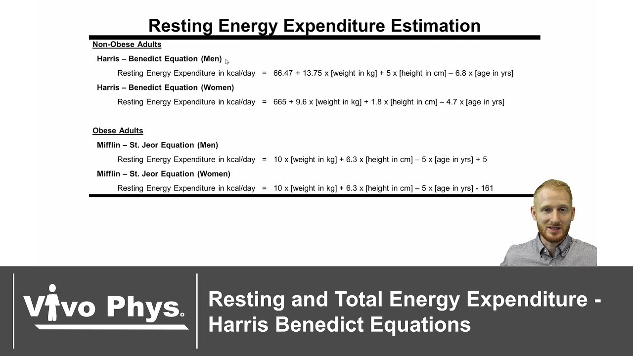 Energy Expenditure - Harris Benedict Estimation Equations (CORRECTED VERSION IN DESCRIPTION)